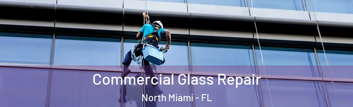  Commercial Glass Repair North Miami - FL