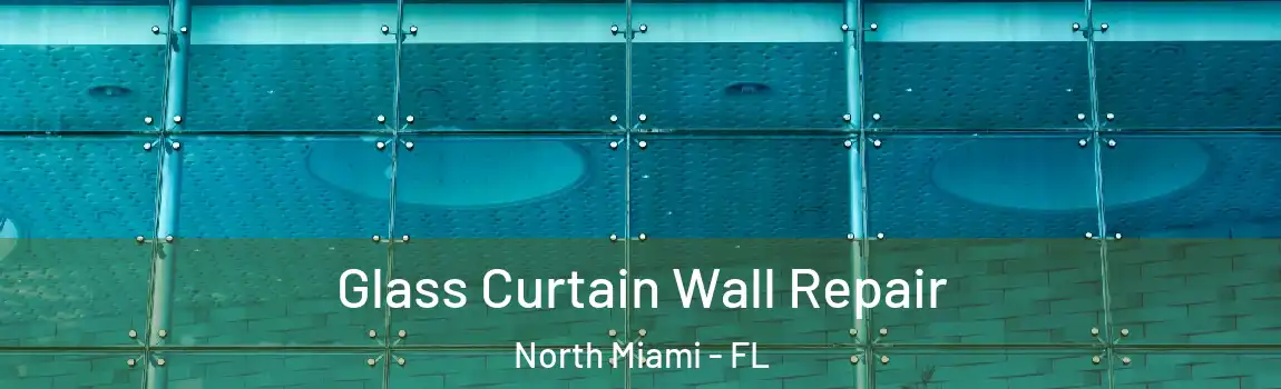  Glass Curtain Wall Repair North Miami - FL