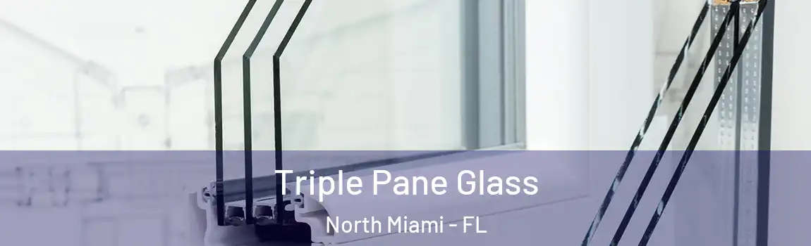  Triple Pane Glass North Miami - FL
